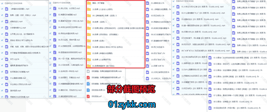 11套复旦大学陈果老师公开课线下分享视频音频+电子版书籍网盘资源合集，包含陈果谈哲学/谈人生/谈幸福谈朋友/谈生活乐趣/谈爱情…等系列_赚钱插图1