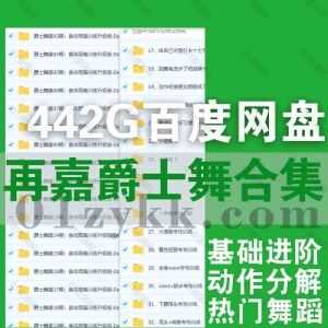 442G再嘉爵士舞蹈抖音同款教学视频网盘资源合集，包含成人零基础入门爵士舞蹈必学基本功/爵士舞蹈提升进阶课/热门抖音舞蹈分解动作教学…等_赚钱插图