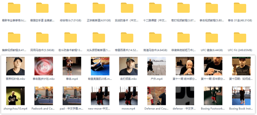 300G柔术格斗防身学习视频教程│百度网盘合集_赚钱插图2