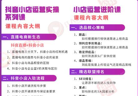 小店运营全套系列课 从基础入门到进阶精通，系统掌握月销百万小店核心秘密插图