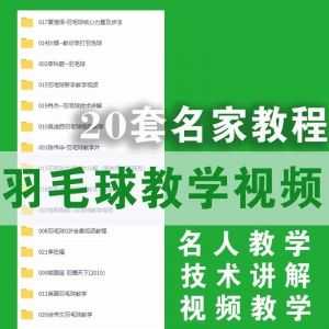 20套羽毛球入门到精通视频教程百度网盘资源合集，包含知名运动员技术讲解/国际羽联/guojia体委羽毛球教学_赚钱插图