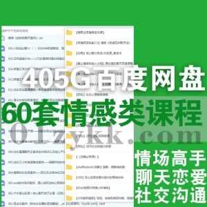 60套男女恋爱情感沟通搭讪社交脱单技巧课程405G网盘资源合集，包含阿伦/WolfPackwild狼群/席瑞/赵了了/天边的老白/重开计划大橙2.0…等名师课_赚钱插图