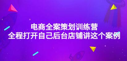 电商全案营销策划方案