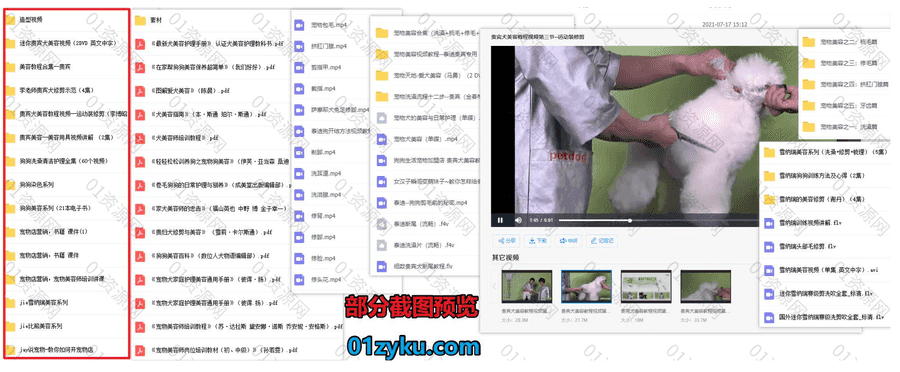 10G宠物美容师培训视频+电子书课件教程百度网盘资源合集，包含宠物造型修剪/清洁护理/宠物店经营……等内容_赚钱插图1