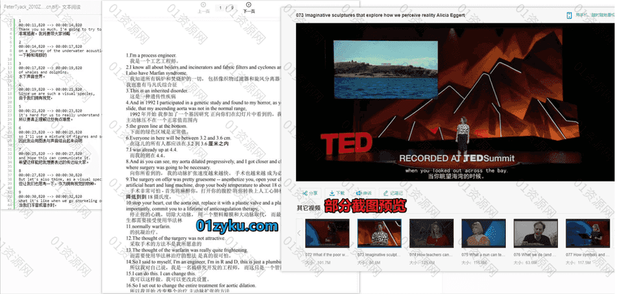 1984-2020年TED历年演讲中英文双语字幕视频MP4+音频MP3+TXT演讲文本DOC文稿百度网盘资源合集_赚钱插图2