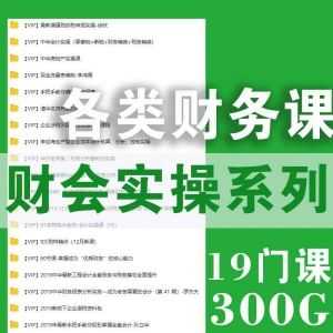 【300G网盘】19门财务实操系列课，持续新增中……_赚钱插图