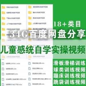 32G百度网盘│儿童感统自学手册实操视频，18+训练项目！_赚钱插图