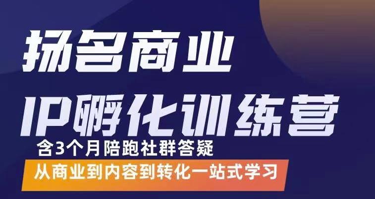 杨名商业IP孵化训练营，从商业到内容到转化一站式学 价值5980元插图