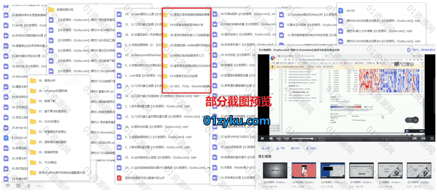 8套医学方科研系列课程26G百度网盘资源合集，包含医学统计/R语言入门/数据挖掘清洗……等内容_赚钱插图1