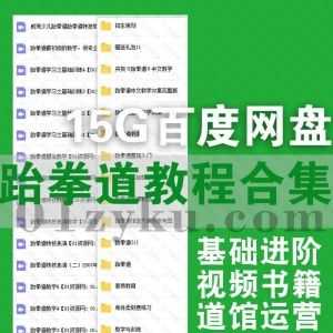 15G少儿成人跆拳道教学训练视频+书籍文档百度网盘资源合集，包含腿法教学/基础进阶/道馆运营招生策划/管理制度……等内容_赚钱插图