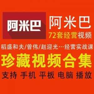 72套阿米巴经营实战视频百度网盘合集，稻盛和夫/曾伟/赵迎光/尤登弘……_赚钱插图