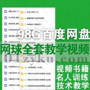 98G全套网球训练学习视频+电子书教程百度网盘资源合集，包含网球明星训练/基础进阶/发球击球/技术教学/经典比赛视频……等内容_赚钱插图