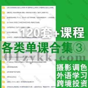 120套+各平台各类学习板块课程合集(三)3700G网盘资源汇总，包含高维课堂/西帅跨境课/许茹冰/傻白英语/鼎贸外贸课程/唐嘉庚讲商业…等_赚钱插图