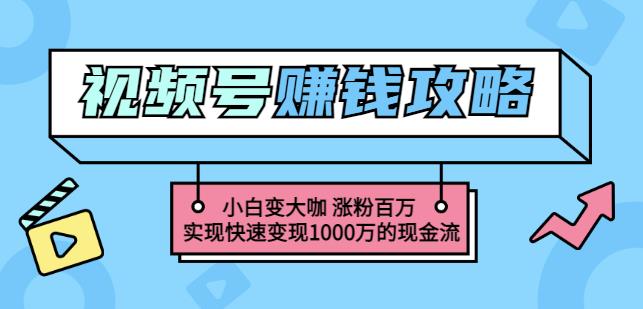 玩转微信视频号赚钱：小白变大咖涨粉百万实现快速变现1000万的现金流插图