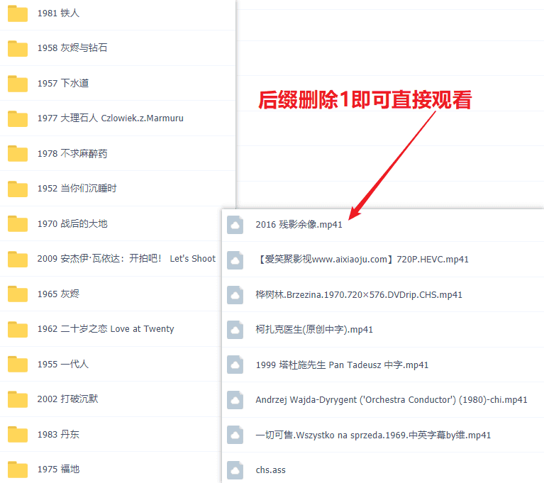 安杰伊·瓦伊达│21部电影百度网盘蓝光超清合集（带中文字幕）_赚钱插图2