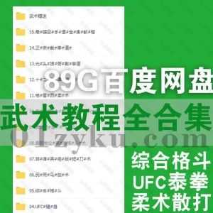 89G武术学习培训视频电子书教程百度网盘资源合集，包含格斗/UFC/泰拳/柔术/散打/擒拿/太极/咏春拳/自由搏击/马伽术……等教程_赚钱插图