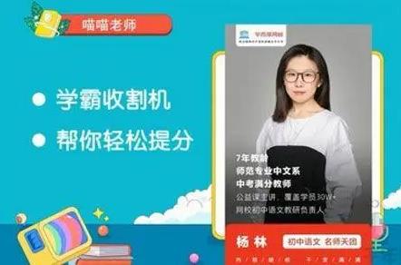 学而思网校六年级语文杨林