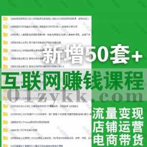 2023年11月新增的100套+互联网抖音电商直播/短视频带货/自媒体个人IP/直通车淘系引流/小红书店铺运营/视频号流量变现网盘资源合集_赚钱插图