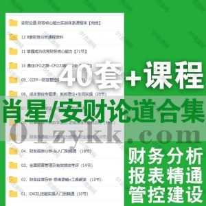 40套肖星财务/安财论道小安老师财务思维CCFP系列课程网盘资源合集，包含企业财务报表分析/财务管控体系建设/财务经营分析/技能实操…等_赚钱插图