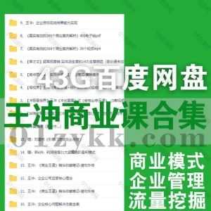 43G王冲商业系列视频课程+PDF电子版书籍网盘资源合集，包含商业模式团队管理挖掘流量破局/商业王道好产品的四大组成架构/老板必修五课…等_赚钱插图