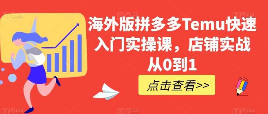 海外版拼多多Temu快速入门实操课，店铺实战从0到1