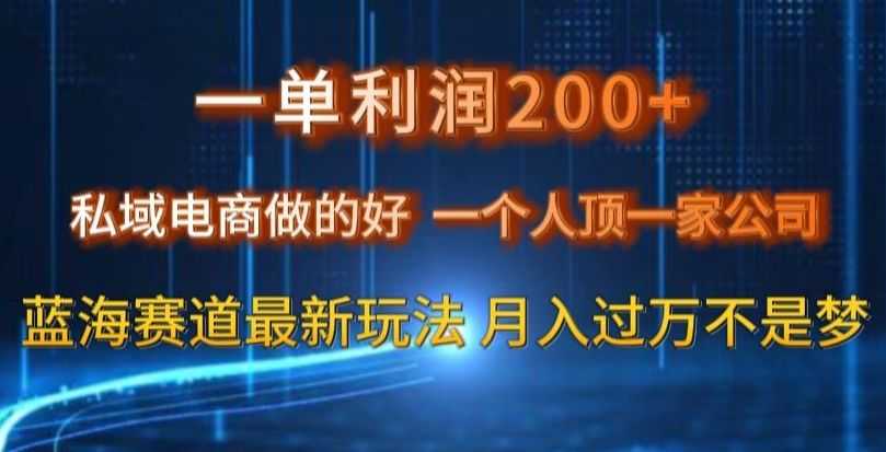 一单利润200私域电商做的好，一个人顶一家公司蓝海赛道zui新玩法【揭秘】