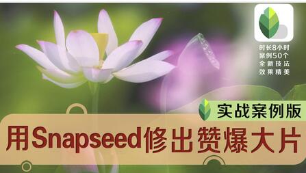 snapseed视频教程