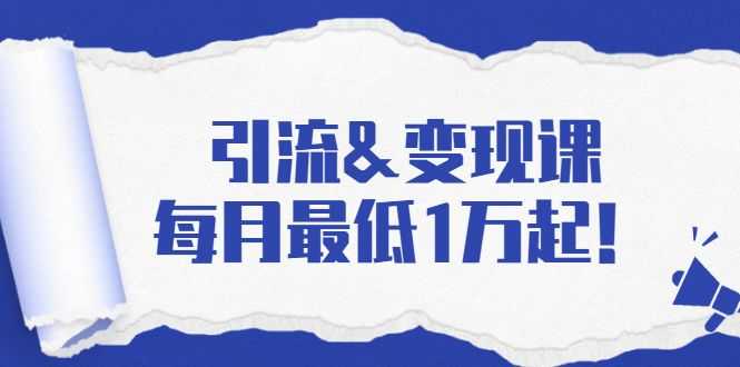 引流&变现课：分享一整套流量方法以及各个渠道收入，每月zui低1万起！插图